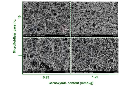 카르복실 기 함량 및 고압균질기 처리 횟수에 따른 나노셀룰로오스의 형태학적 변화(SEM)
