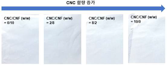 CNC/CNF 중량비 조성에 따른 나노셀룰로오스 코팅 분리막 외관 사진