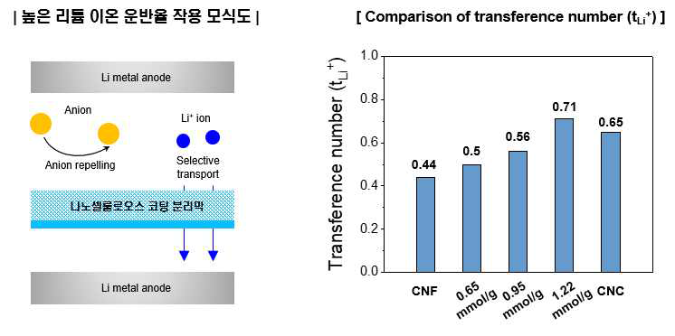 고기능성 나노셀룰로오스 기반 코팅 분리막 기능성 평가 (좌 : 작용 기작 모식도, 우 : 고기능성 셀룰로오스 종류에 따른 리튬이온 운반율 비교)