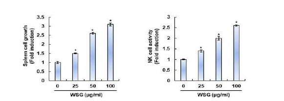 산양삼 물추출물의 비장세포 생육 및 NK세포 활성화 유도활성