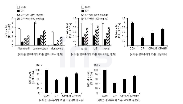 시제품의 동물기반 면역증진 활성 검증