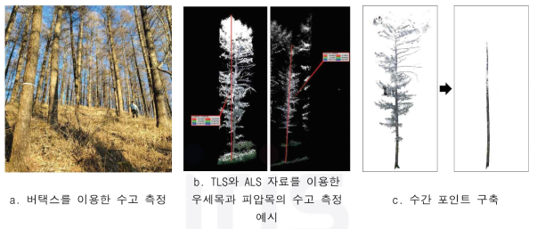 수고 데이터 측정 및 수간 포인트 구축 예시