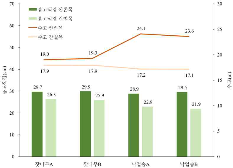 현행 방법에 의한 간벌목과 잔존목의 비교