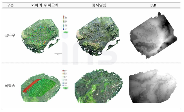 UAV자료를 활용한 정사영상 및 DSM 구축