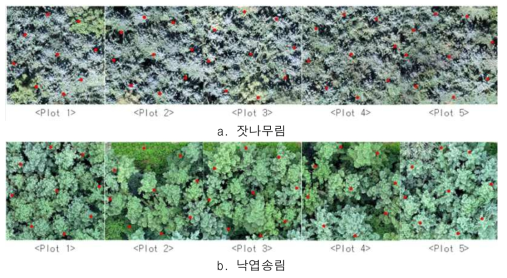 임상별 LiDAR 촬영위치의 GCP 위치분포도