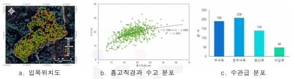 국유림 내 주요 침엽수의 입목특성