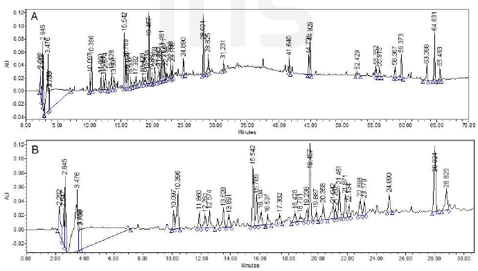 청가시덩굴 MC 분획물 HPLC 크로마토그램(A); 크로마토그램 확대(B, 0-30분대 확대)