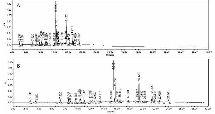 청가시덩굴 EtOAc 분획물 HPLC 크로마토그램(A); 크로마토그램 확대 (B, 0-30분대 확대)