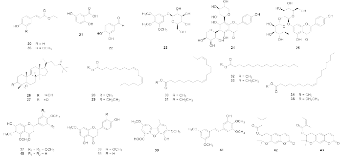 청가시덩굴(G99)로부터 분리한 화합물 20-44의 구조