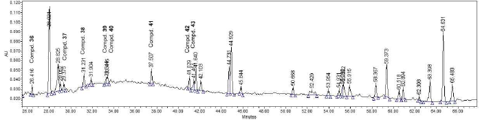 청가시덩굴(G99) MC 분획물로부터 분리한 화합물의 HPLC peak identification