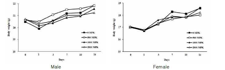 Change of body weight during after dosing with 청가시덩굴 추출물