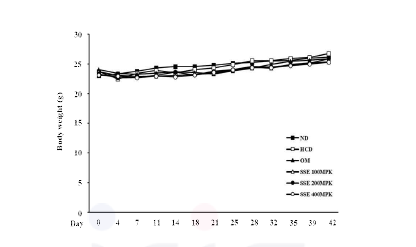 청가시덩굴 추출물 투여군에서의 체중변화