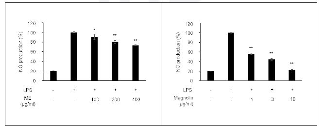 신이 추출물 (ME)과 Magnolin의 염증 억제 효과