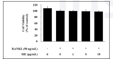 신이 추출물 (ME)의 세포독성