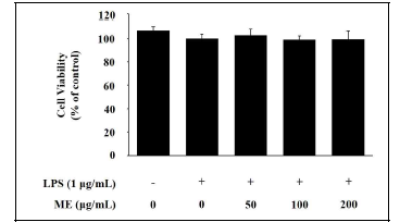 신이 추출물 (ME)의 세포독성