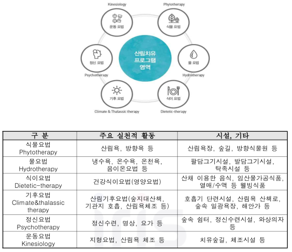 산림치유의 6대요법