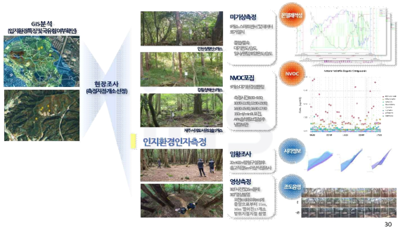 도시숲의 환경인자 측정 및 분석