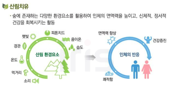 산림치유 개념 모식도(국립산림과학원,2019)