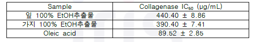 붉가시나무 잎과 가지 100% EtOH 추출물의 collagenase 활성 측정 결과
