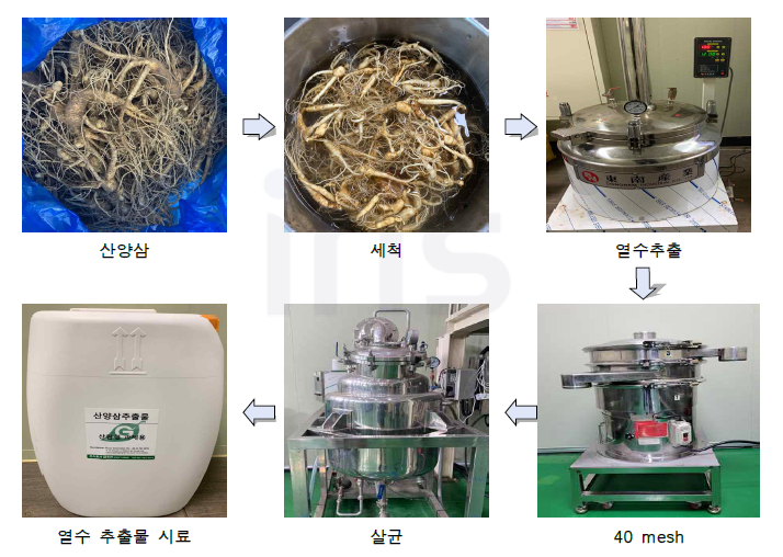 산양삼 추출공정 Scale-up