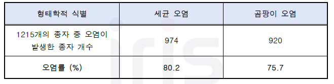 산양삼 종자의 기내배양시 발생한 오염의 형태학적 식별 결과. 투명한 colony를 가지는 세균과 포자가 관찰되는 곰팡이로 육안 식별하였음