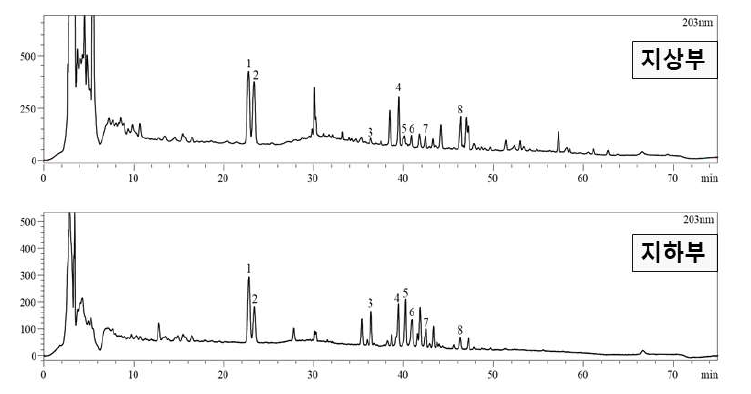 산양삼 부위에 따른 진세노사이드 HPLC 크로마토그램. 1; 진세노사이드 Rg1, 2; 진세 노사이드 Re, 3; 진세노사이드 Rf, 4; 진세노사이드 Rg2, 5; 진세노사이드 Rb1, 6; 진세노사이드 Rc, 7; 진세 노사이드 Rb2, 8; 진세노사이드 Rd