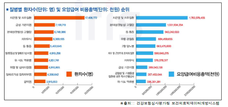 질병별 환자수 및 요양급여 비용총액 순위