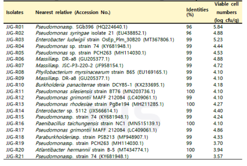 JJG 함양 백전 지역 산양삼 뿌리의 분리 미생물 16S identity
