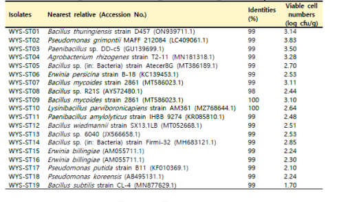 WYS 함양 백전 지역 산양삼 줄기의 분리 미생물 16S identity