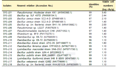 SYS 거창 지역 산양삼 잎의 분리 미생물 16S identity