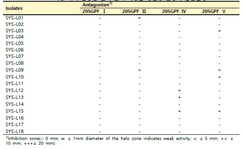 SYS 거창 지역 산양삼 잎의 분리 미생물 병원성 곰팡이 항균활성