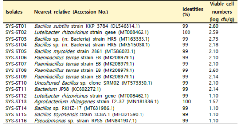 SYS 거창 지역 산양삼 줄기의 분리 미생물 16S identity