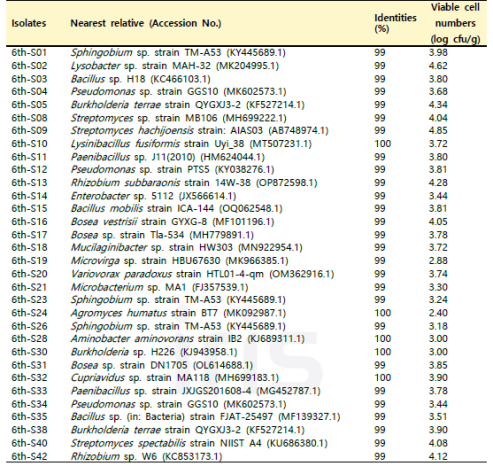 6차 산양삼 재배 토양의 분리 미생물 16S identity