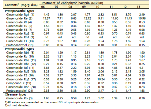 1차 내생세균 처리에 따른 새싹산양삼의 ginsenosides 유도체 함량 (계속)