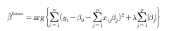 Lasso 모델의 회귀계수 추정식