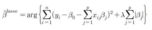 Lasso 모델의 회귀계수 추정식