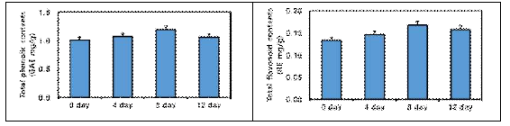 활성 산양삼 콤부차 발효기간별 총 phenolics 및 총 flavonoids 함량