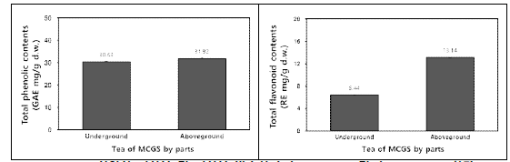 산양삼 지하부 및 지상부 발효차의 총 phenolics 및 총 flavonoids 함량