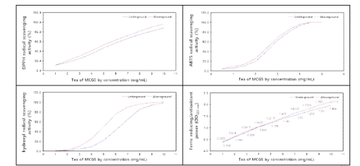 산양삼 지하부 및 지상부 발효차의 DPPH, ABTS 및 hydroxyl 라디칼 소거활 성 및 FRAP