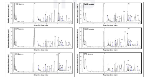 지역별 산양삼 잎의 전형적인 ginsenoside HPLC 크로마토그램