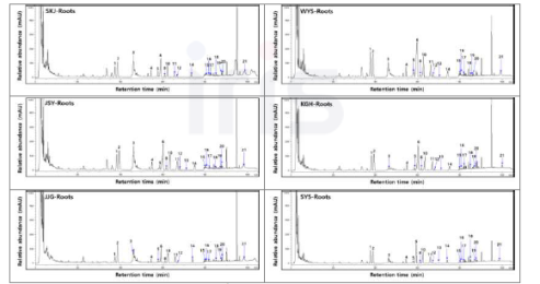 지역별 산양삼 뿌리의 전형적인 ginsenoside HPLC 크로마토그램