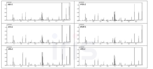 재배 지역별 산양삼 잎의 일반 대사체 GC-MS 크로마토그램
