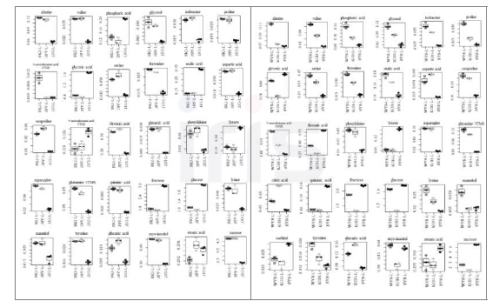 재배 지역별 산양삼 잎의 일반 대사체 Boxplot