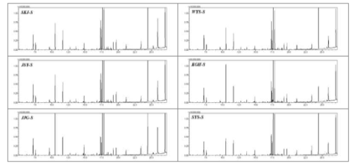 재배 지역별 산양삼 줄기의 일반 대사체 GC-MS 크로마토그램