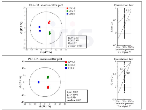 재배 지역별 산양삼 줄기의 일반 대사체 PLS-DA Scores