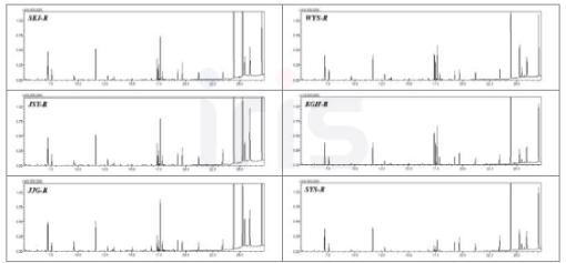재배 지역별 산양삼 뿌리의 일반 대사체 GC-MS 크로마토그램
