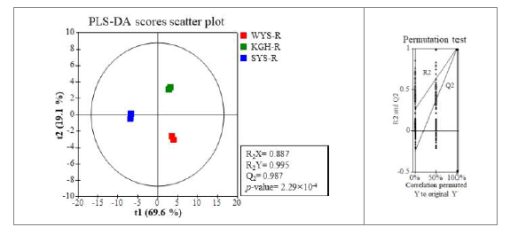 재배 지역별 산양삼 뿌리의 일반 대사체 PLS-DA Scores