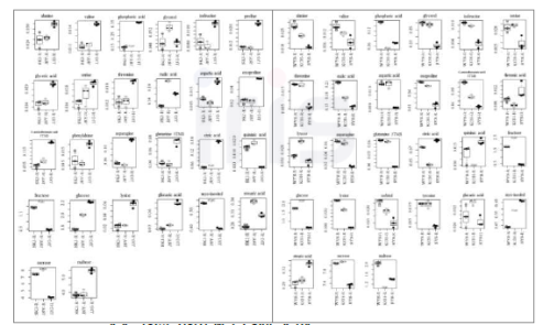 재배 지역별 산양삼 뿌리의 일반 대사체 Boxplot