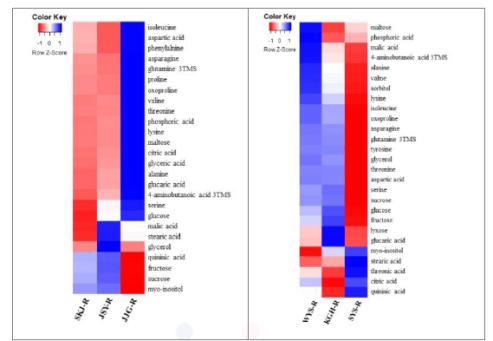 재배 지역별 산양삼 뿌리의 일반 대사체 Heatmap