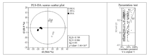 재배 지역별 산양삼 잎의 기능성 대사체 PLS-DA Scores